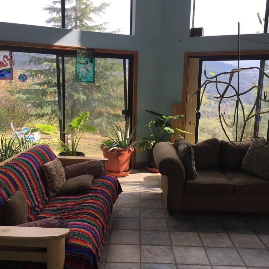 Sequoia Forest Retreat Badger Екстер'єр фото
